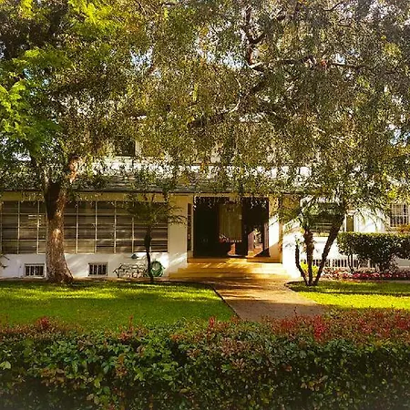 Orange Drive Hostel (Adults Only)